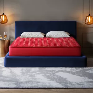 Cozy Mattress