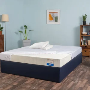 Spineline Orthopedic Mattress (100% Organic Natural Latex) + Free Life Companion Latex Pillows