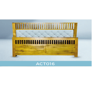 ACT016