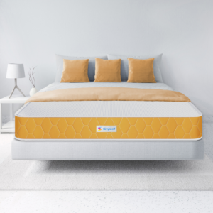 Dual Mattress