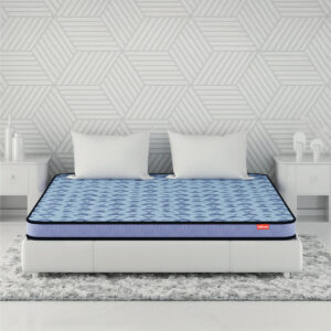 DuoRest Popular Foam Mattress