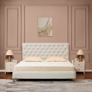Inspire Coir Mattress