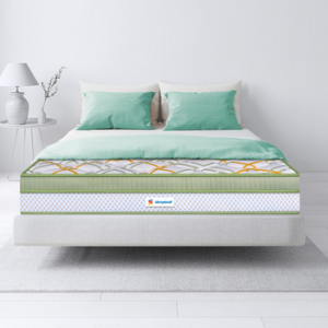 Pro Spinetech Premium Mattress