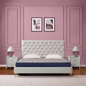 Pure Coir Reinforced Fibre Bonded Foam Mattress