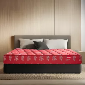 Rutile Coir Mattress