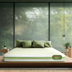 Tatva Natural Latex and Coir Mattress