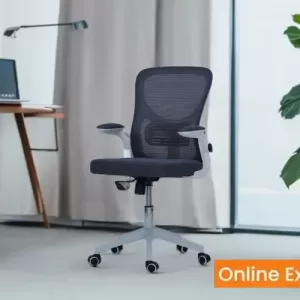 Royaloak Glory Mesh Medium Back Chair