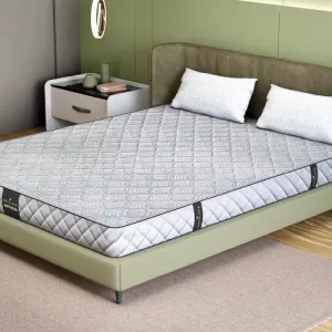 Royaloak Natural Spine Care King Mattress